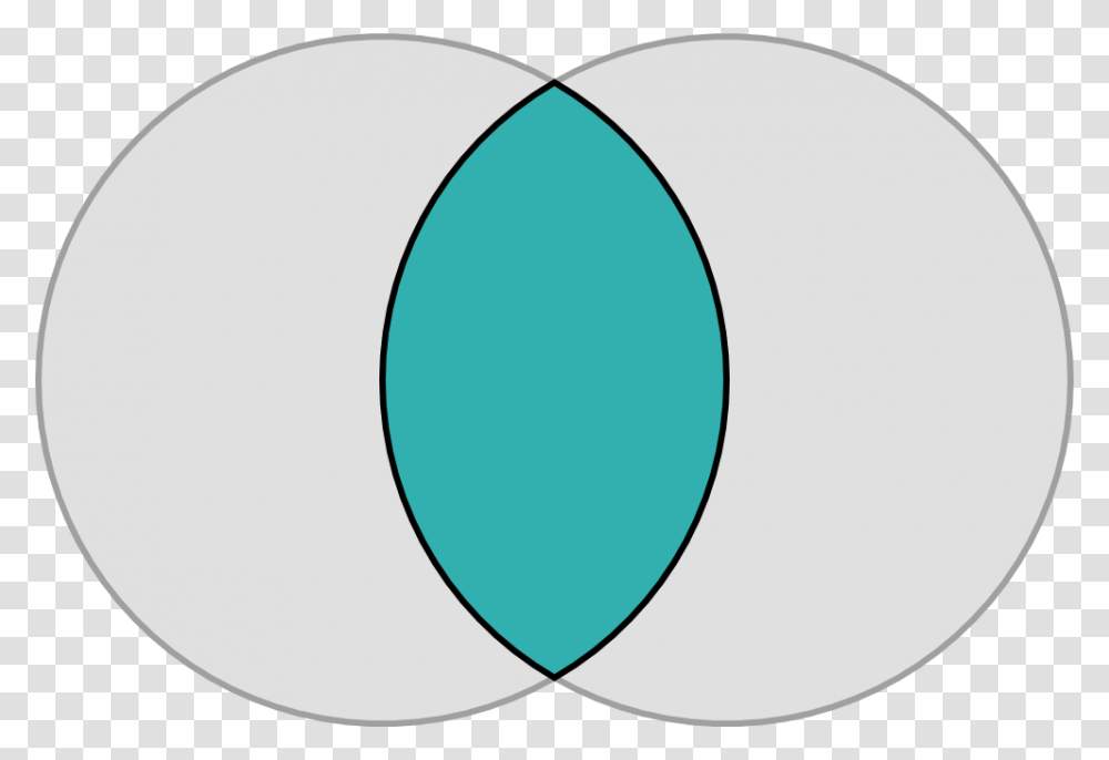 Is Mary Magdalene The Mother Of God Russian News Source Background Venn Diagram, Oval Transparent Png