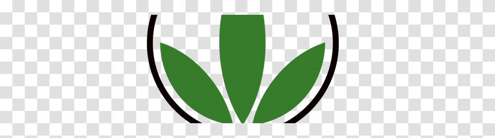 Is The Herbalife A Scam Still Worth Joining Or Not, Leaf, Plant, Green, Flower Transparent Png