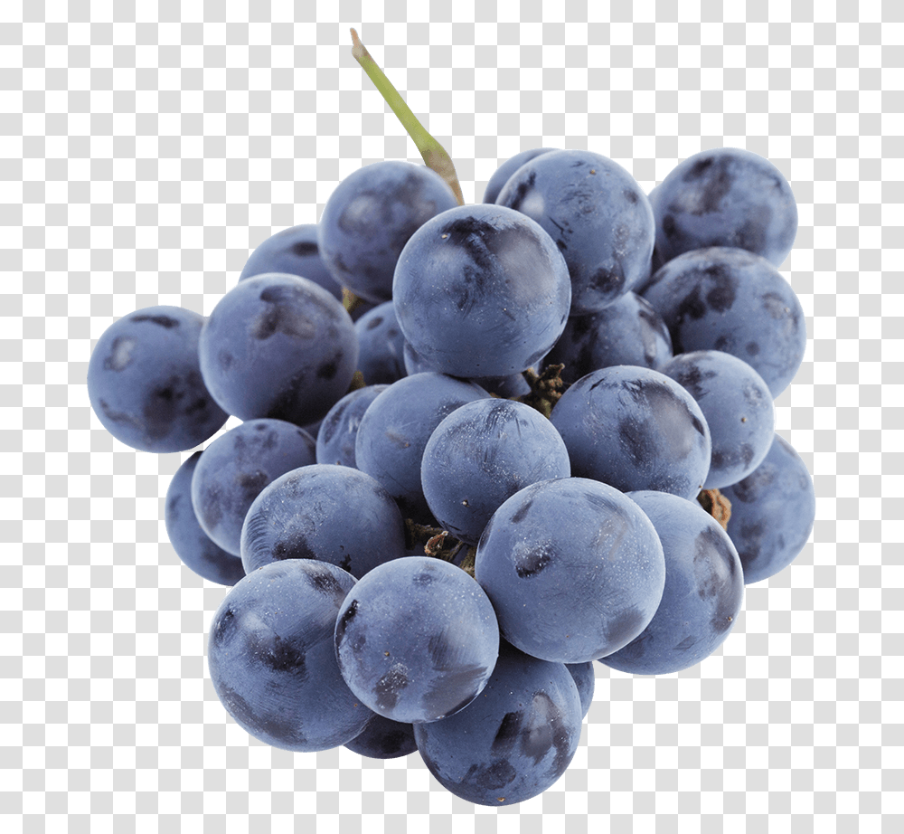 Isabella Trauben, Plant, Grapes, Fruit, Food Transparent Png