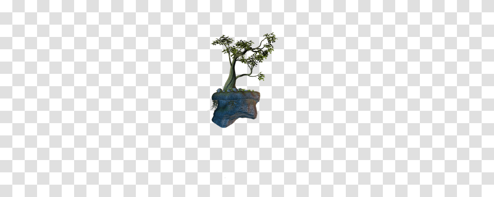 Island Nature, Plant, Cross Transparent Png