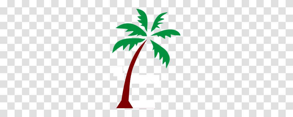 Island Nature, Plant, Tree, Palm Tree Transparent Png