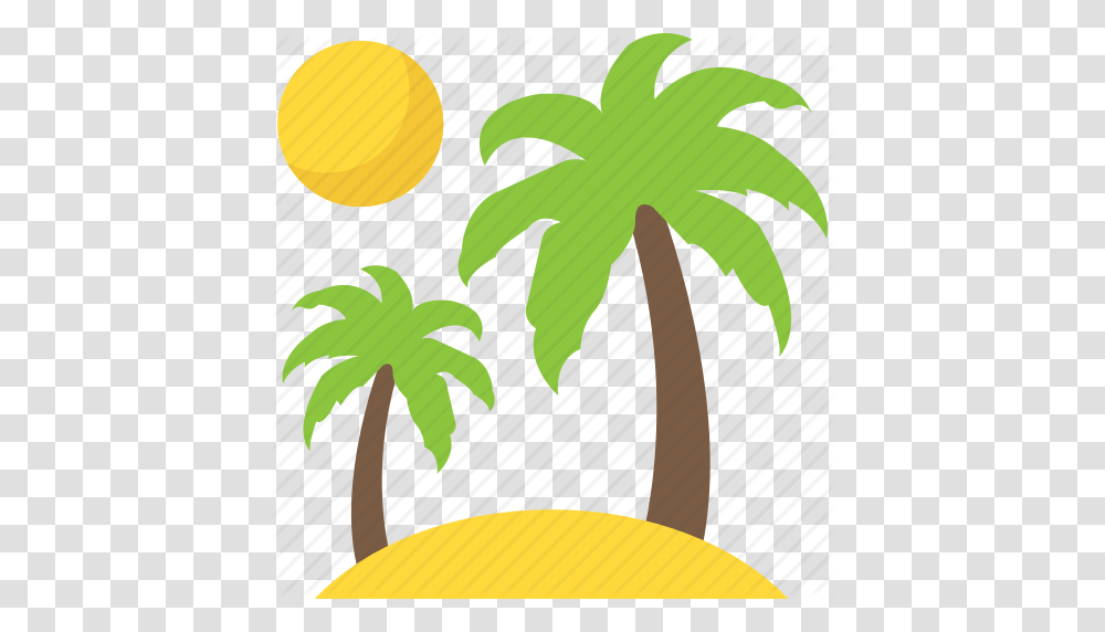 Island Palm Tree Sand Tree Travelling Tropical Tree Icon, Plant, Arecaceae, Leaf, Fruit Transparent Png