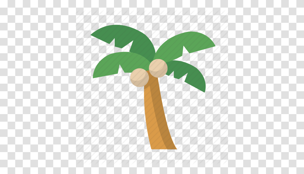Island Palm Tree Vacation Icon, Plant, Sprout Transparent Png