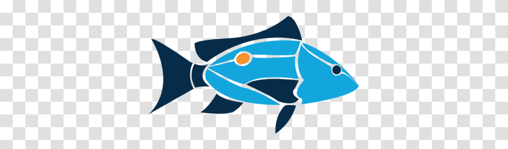 Island School, Sea Life, Animal, Fish, Mammal Transparent Png