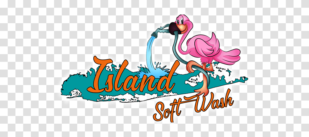 Island Soft Wash, Animal, Bird, Pelican, Flamingo Transparent Png