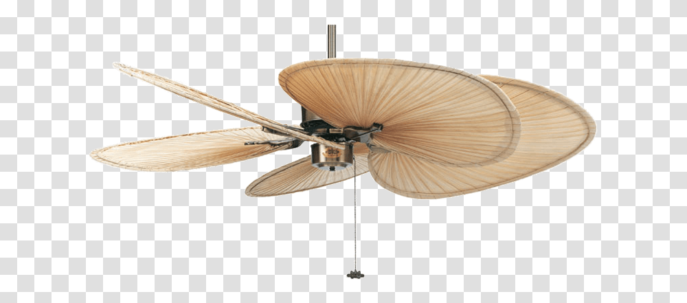 Islander Fanimation Natural Palm Fan Plantation Ceiling Fan, Appliance Transparent Png