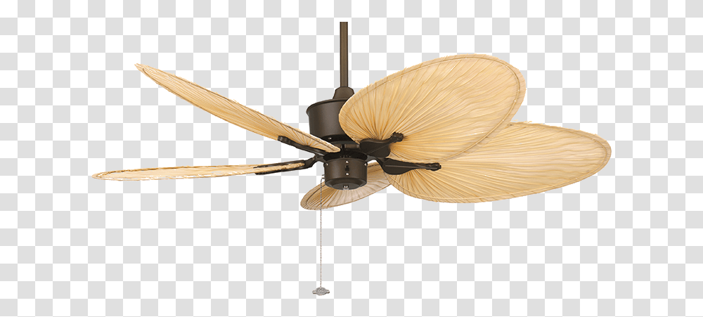 Islander Fanimation Palm Blade Fan Modern Ceiling Fan South Africa, Appliance Transparent Png