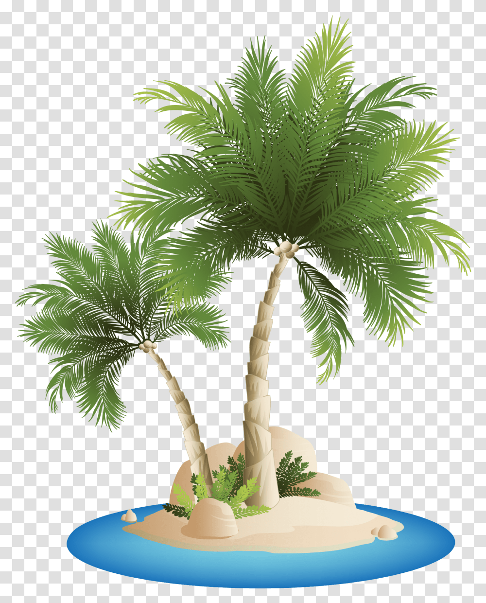 Islands Beach Clip Art Beach Coconut Tree, Plant, Palm Tree, Arecaceae, Produce Transparent Png