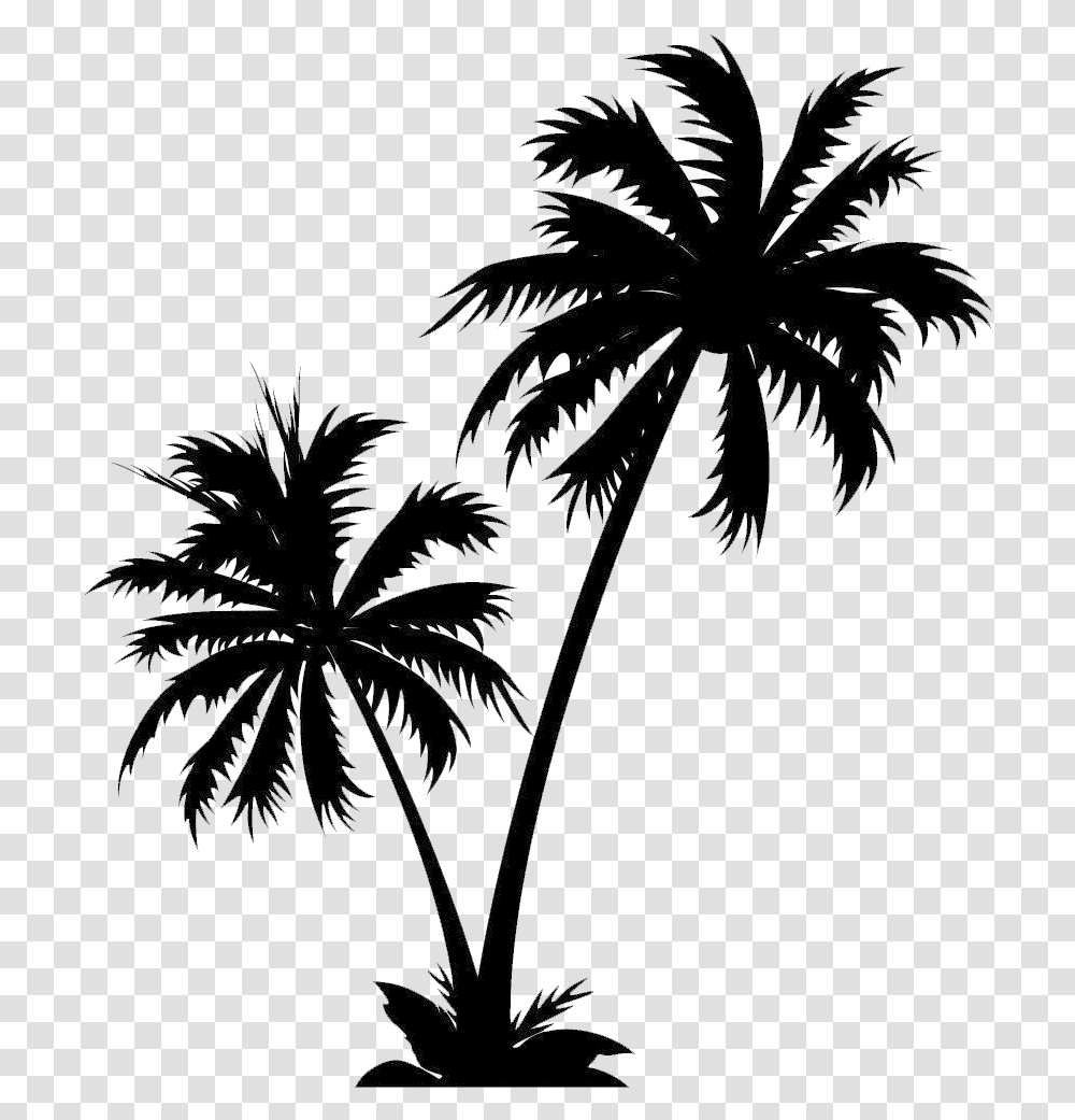 Isle Manage Specializes In White Palm Tree Vector Palm Tree, Nature, Outdoors, Fireworks, Night Transparent Png