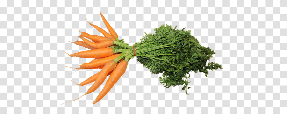 Isolated Food, Plant, Carrot, Vegetable Transparent Png