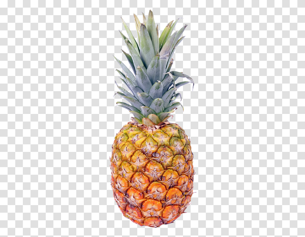 Isolated 960, Fruit, Pineapple, Plant, Food Transparent Png