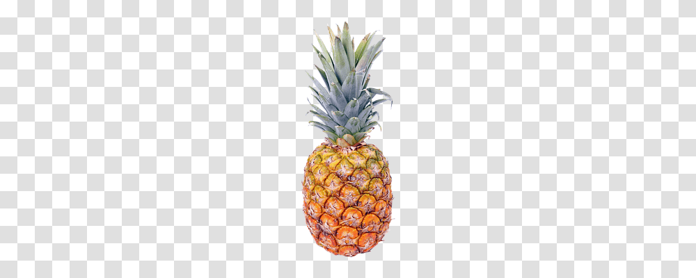 Isolated Nature, Plant, Pineapple, Fruit Transparent Png