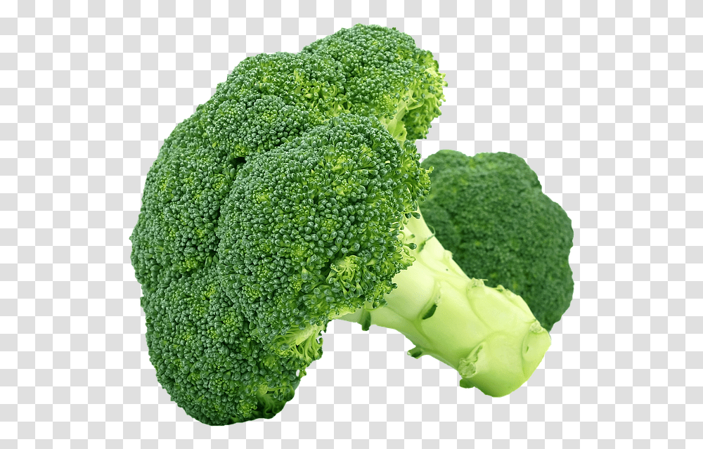 Isolated Food, Plant, Broccoli, Vegetable Transparent Png