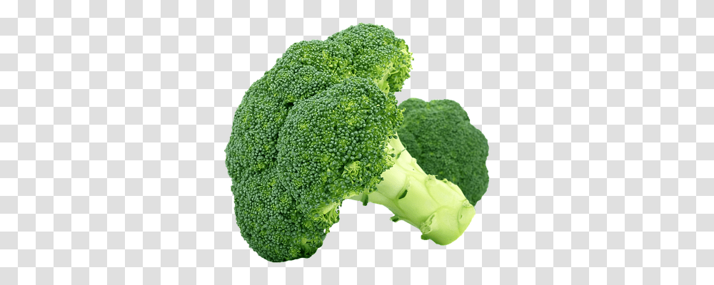 Isolated Food, Plant, Broccoli, Vegetable Transparent Png