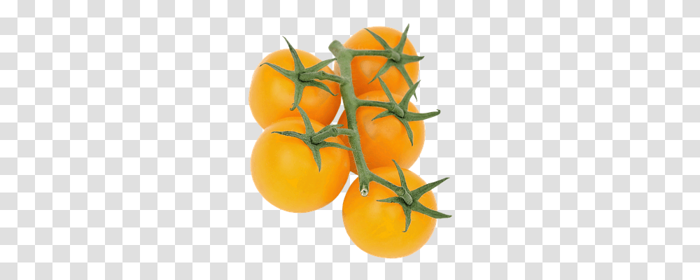 Isolated Food, Plant, Vegetable, Tomato Transparent Png