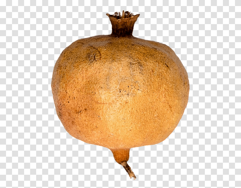 Isolated 960, Fruit, Plant, Gourd, Produce Transparent Png