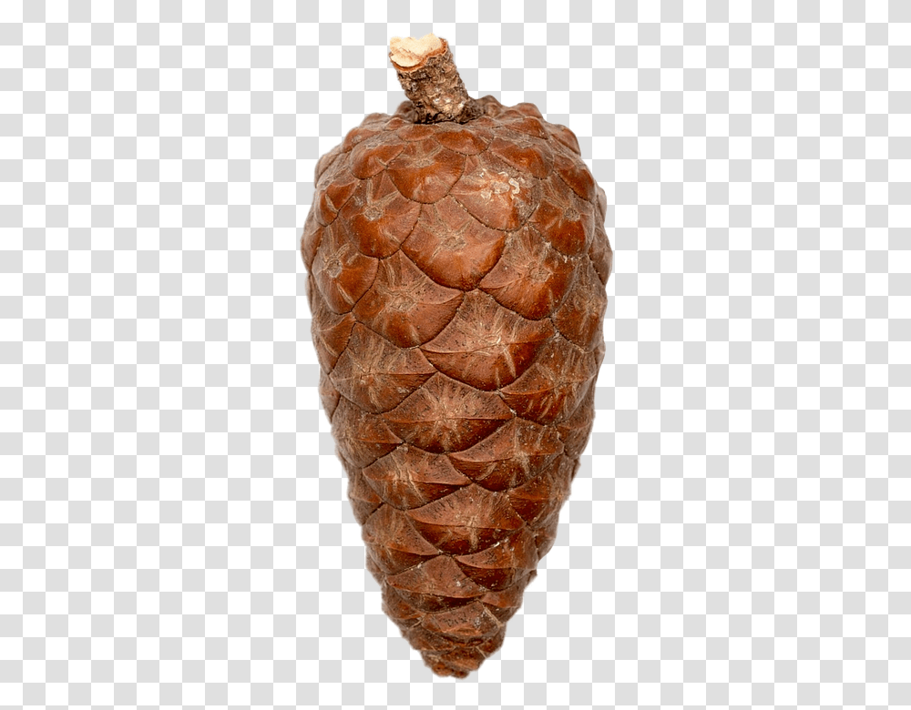 Isolated 960, Nature, Pineapple, Fruit, Plant Transparent Png