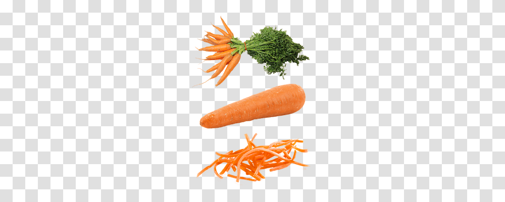 Isolated Nature, Plant, Carrot, Vegetable Transparent Png