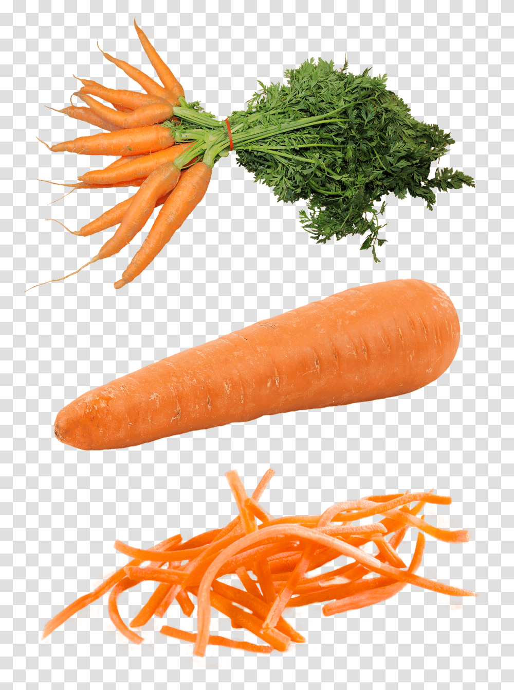 Isolated Vegetable, Plant, Carrot, Food Transparent Png