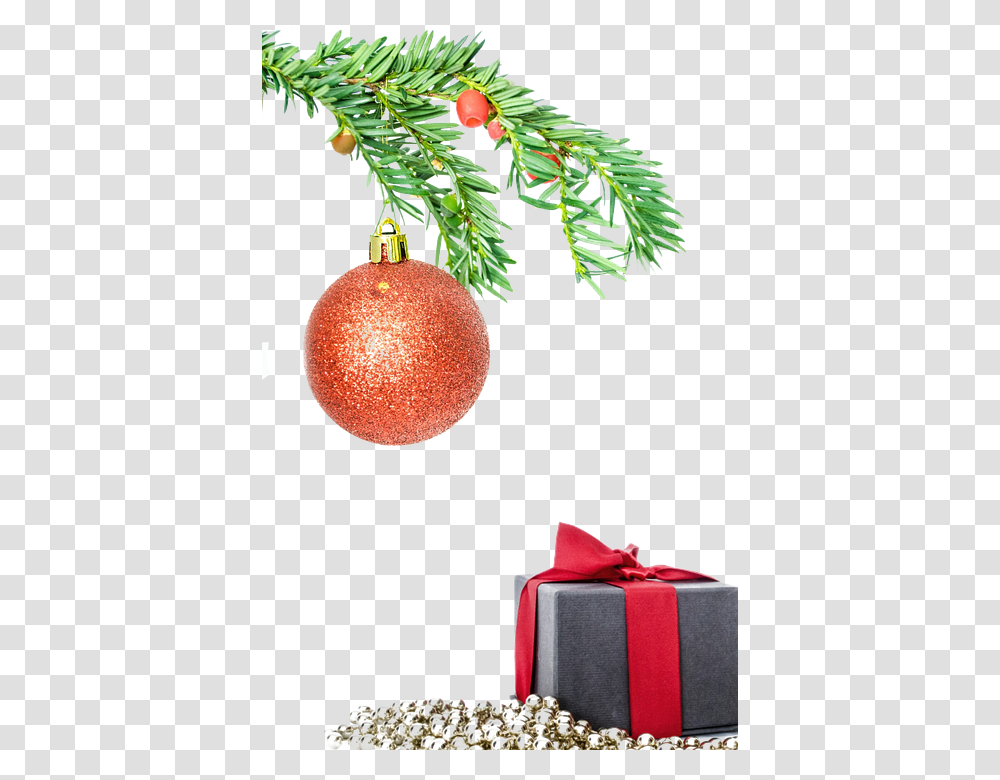 Isolated 960, Religion, Tree, Plant, Conifer Transparent Png