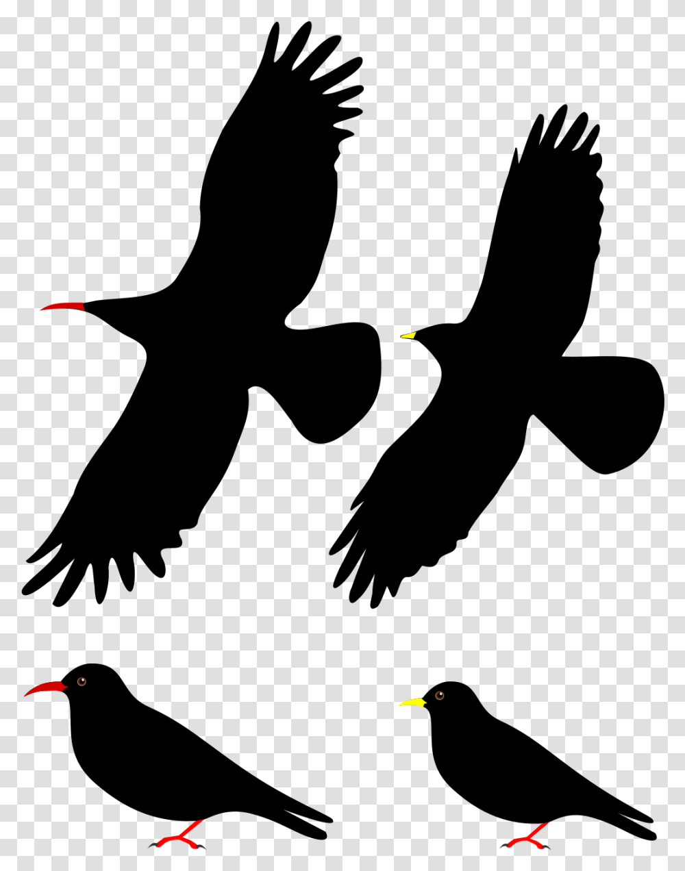 Isolated Birds, Flare, Light, Animal, Leisure Activities Transparent Png