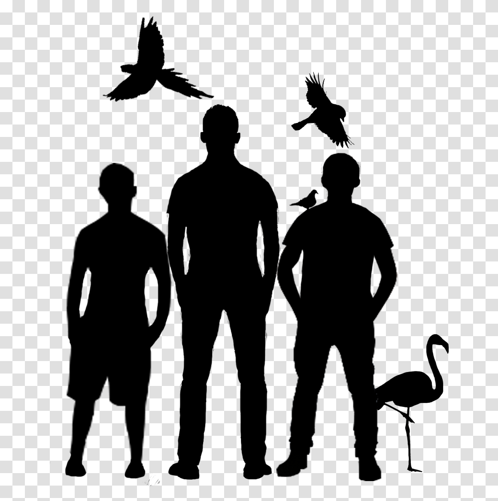 Isolated Birds, Silhouette, Person, Outdoors, People Transparent Png