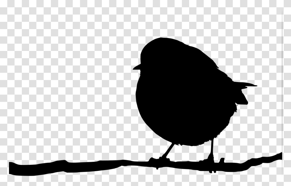Isolated Birds Silhouette Robin On A Branch, Gray, World Of Warcraft Transparent Png