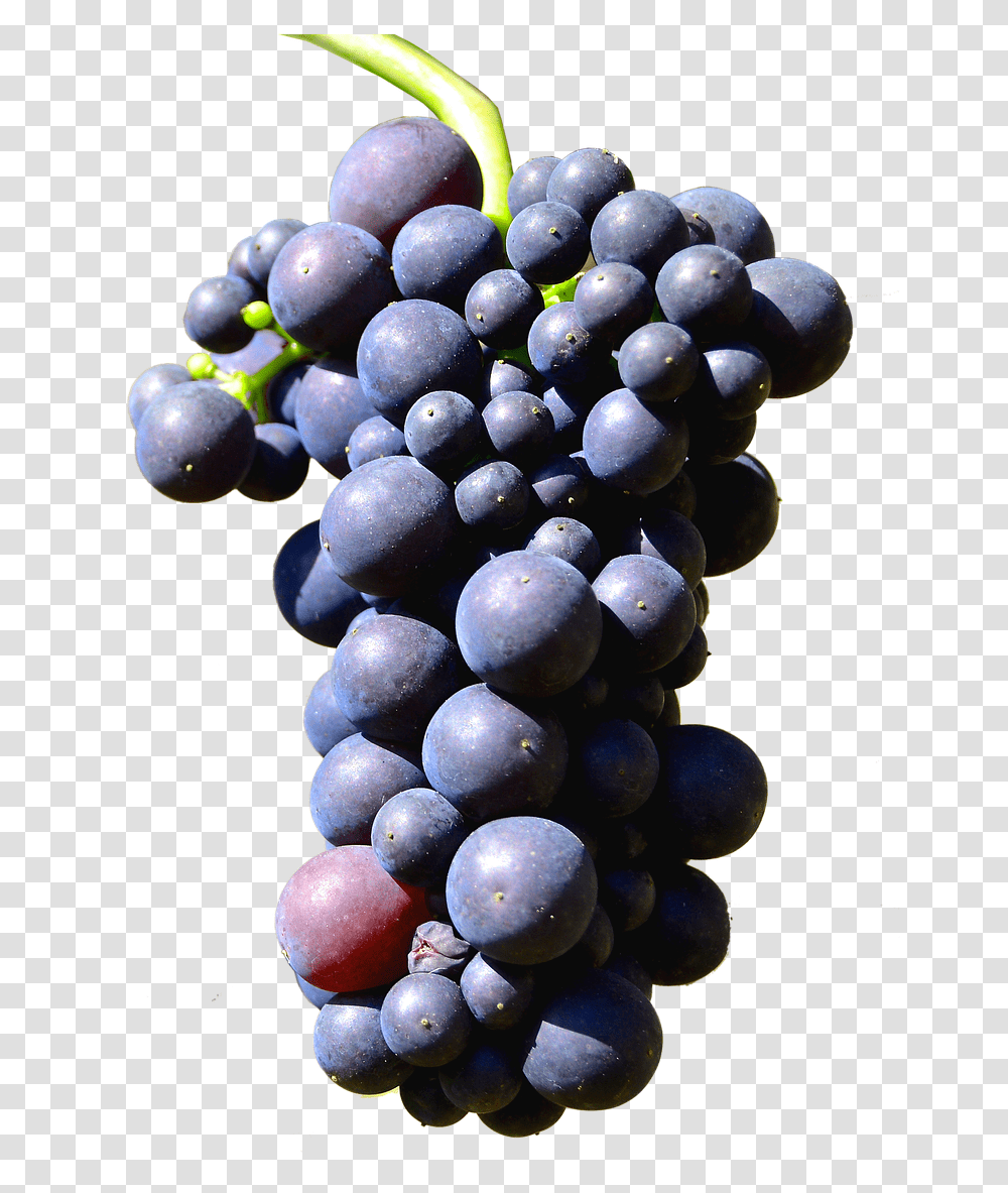 Isolated Grapes Henkel Grape Image Grape, Plant, Fruit, Food, Blueberry Transparent Png