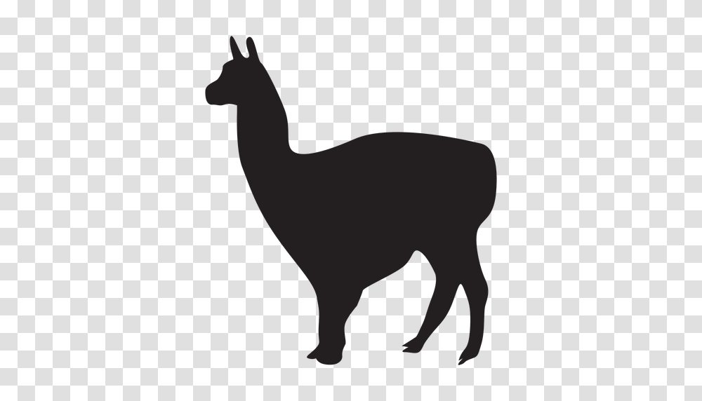 Isolated Llama Animal, Mammal, Silhouette, Deer, Wildlife Transparent Png