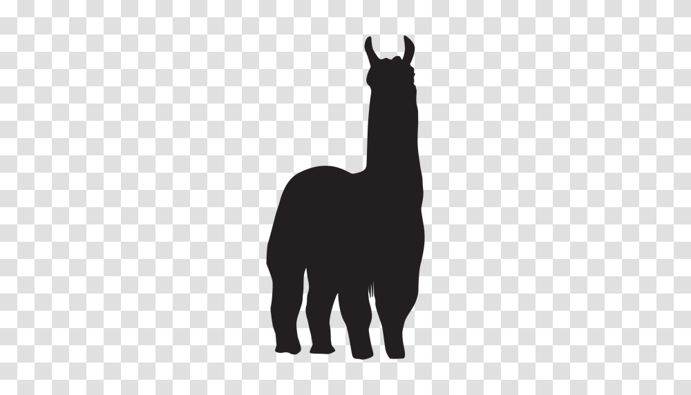 Isolated Llama Standing Silhouette, Mammal, Animal, Alpaca, Wildlife Transparent Png