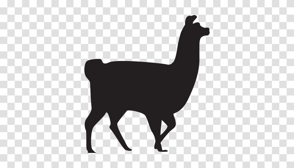 Isolated Llama Walking Silhouette, Animal, Mammal, Alpaca Transparent Png