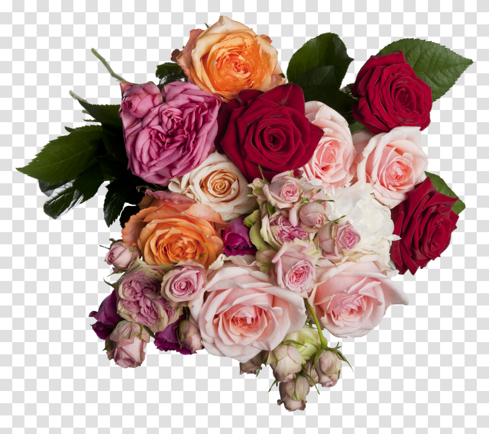 Isolated Roses Bouquet Multi Coloured Romantic, Plant, Flower, Blossom, Flower Bouquet Transparent Png