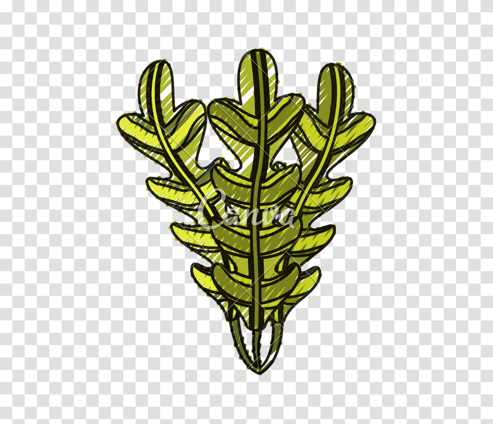 Isolated Seaweed Ocean, Leaf, Plant, Chandelier, Lamp Transparent Png