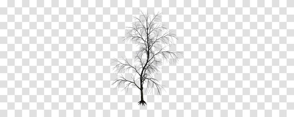 Isolated Tree Technology, Nature, Outdoors, Plant Transparent Png