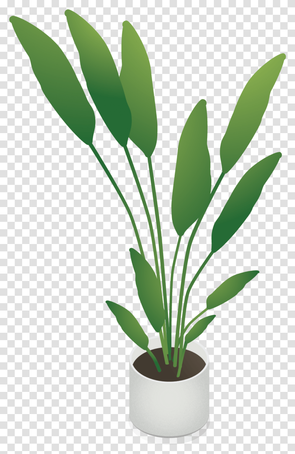 Isometric Plant, Flower, Blossom, Leaf, Flower Arrangement Transparent Png