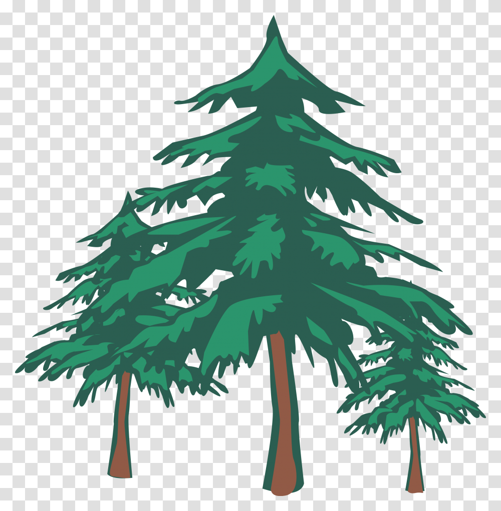 Issue How Many Trees Are There On Earth Oct, Plant, Fir, Abies, Pine Transparent Png