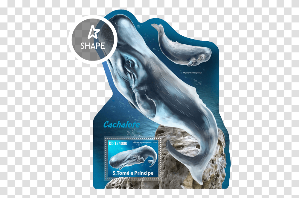 Issue Of Sao Tome And Principe Postage Stamps Common Bottlenose Dolphin, Advertisement, Poster, Mammal, Animal Transparent Png
