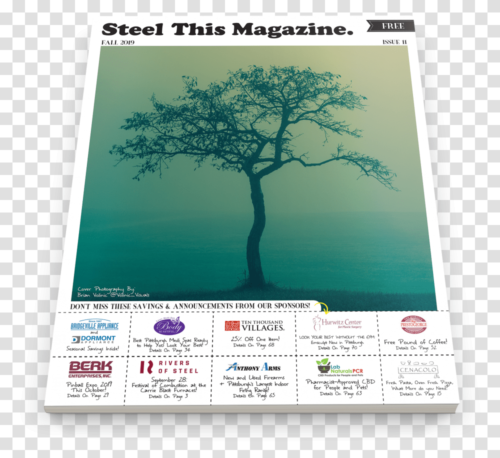 Issue Tree, Paper, Poster, Advertisement Transparent Png