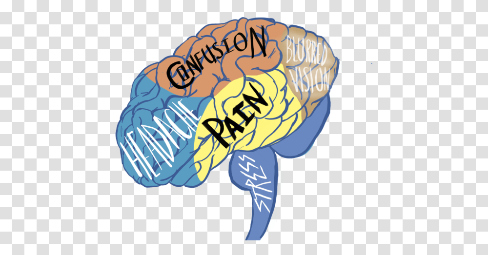 Issues Concussions The Kirkwood Concussion Art, Animal, Mammal, Sea Life Transparent Png