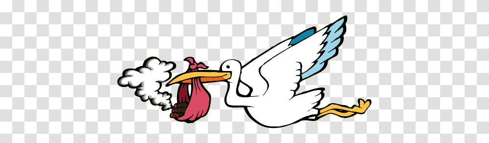 It Is A Boy Or Girl Cigars Smoker Source Lovely, Beak, Bird, Animal, Dodo Transparent Png