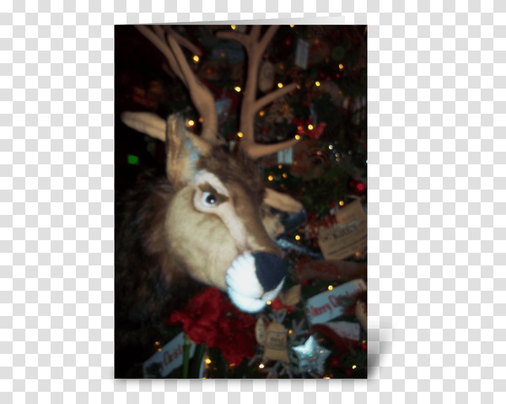 It Is Christmas Deer Greeting Card Reindeer, Mammal, Animal, Bird, Cat Transparent Png