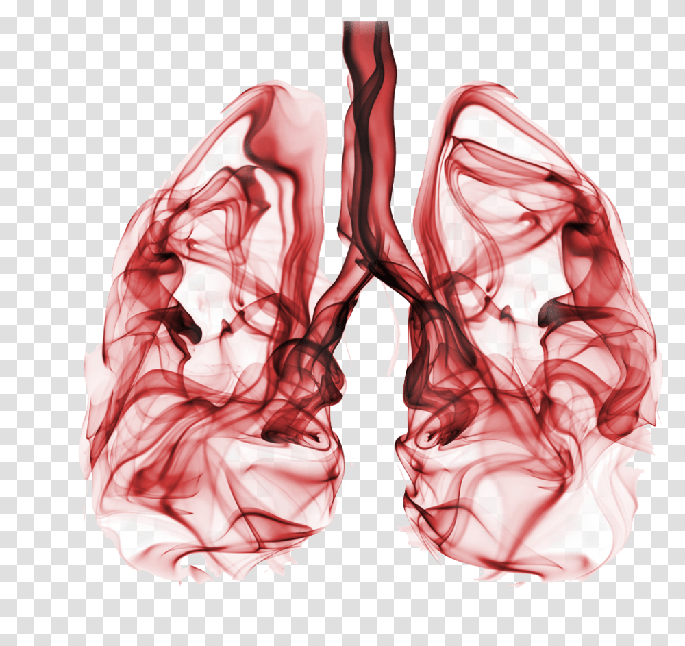 It Is Estimated That Around 80 Of All Lung Cancer Lung Cancer, Apparel, Flower, Plant Transparent Png