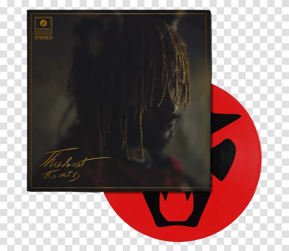 It Is What Picture Disc Thundercat Picture Disc, Text, Alphabet, Monitor, Electronics Transparent Png