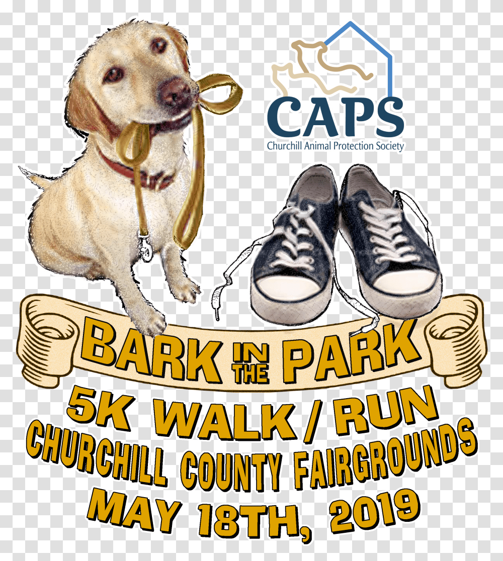 It's Time For Our 5k Strut Your Mutt Walkrun Dog, Advertisement, Poster, Flyer Transparent Png