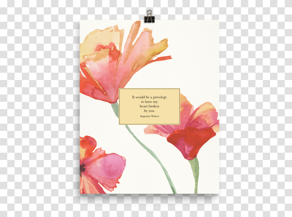 It Would Be A Privilege To Have My Heart Broken By Augustus Waters, Petal, Flower, Plant, Blossom Transparent Png