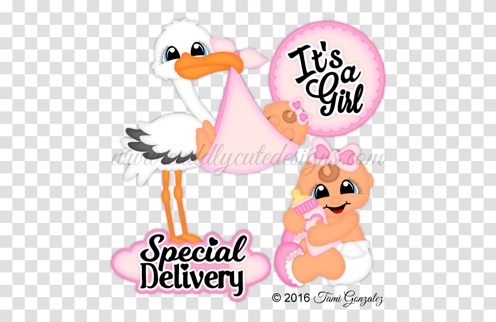 It's A Girl, Bird, Animal, Flamingo, Doodle Transparent Png
