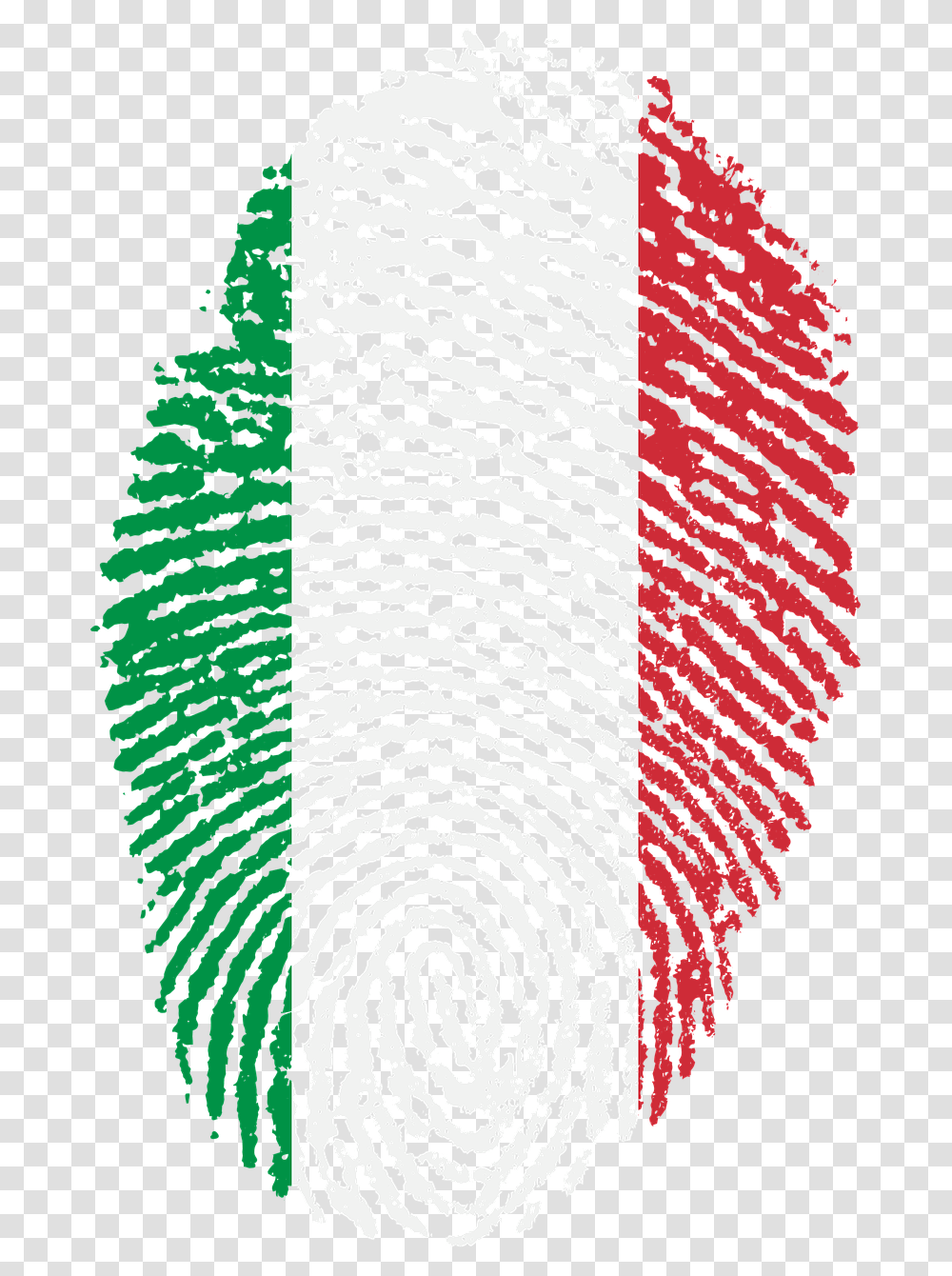 Italian Flag Italy Flag Fingerprint, Rug, Panther, Wildlife, Mammal Transparent Png