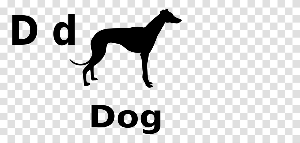 Italian Greyhound Greyhound Lines Silhouette Greyhound Canada Free, Gray, World Of Warcraft Transparent Png