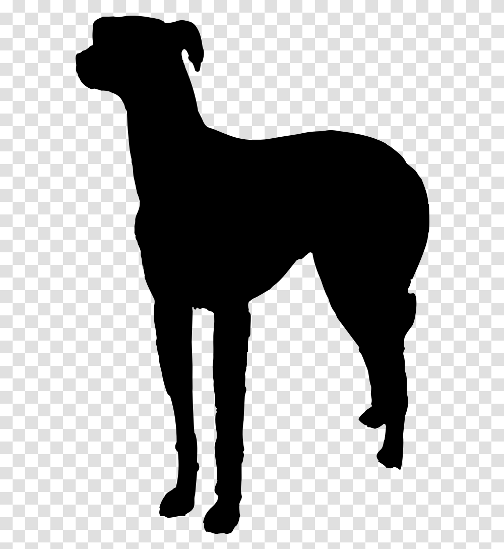 Italian Greyhound Pet Sitting Dog Walking Dog Breed Rampur Greyhound, Gray, World Of Warcraft Transparent Png