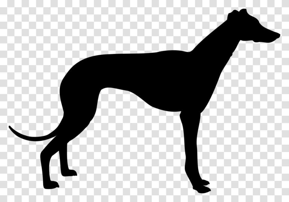 Italian Greyhound Whippet Animal Silhouettes, Gray, World Of Warcraft Transparent Png